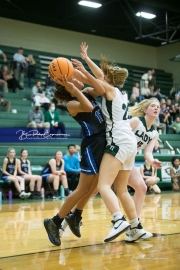 Basketball: Polk County at East Henderson BRE_1926