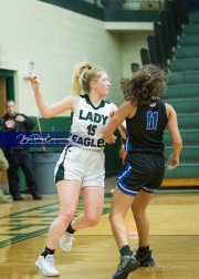 Basketball: Polk County at East Henderson BRE_1980