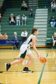 Basketball: Polk County at East Henderson BRE_1994