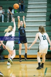 Basketball: Polk County at East Henderson BRE_1998