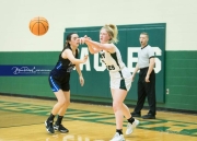 Basketball: Polk County at East Henderson BRE_2007