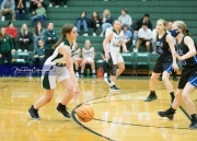 Basketball: Polk County at East Henderson BRE_2016