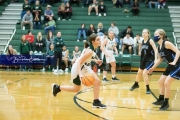 Basketball: Polk County at East Henderson BRE_2017