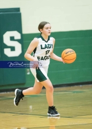 Basketball: Polk County at East Henderson BRE_2019