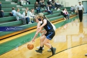 Basketball: Polk County at East Henderson BRE_2048