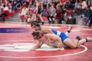 Hendersonville Wrestling BRE_5184