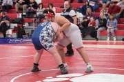 Hendersonville Wrestling BRE_5595