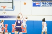 Basketball - North Henderson at West Henderson_BRE_7029