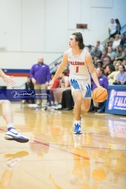 Basketball - North Henderson at West Henderson_BRE_7190