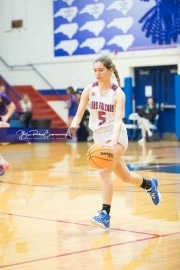 Basketball - North Henderson at West Henderson_BRE_6468