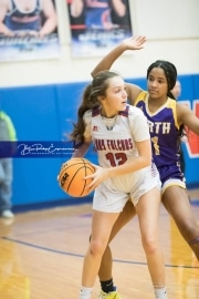 Basketball - North Henderson at West Henderson_BRE_6471