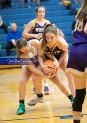 Basketball - North Henderson at West Henderson_BRE_6571