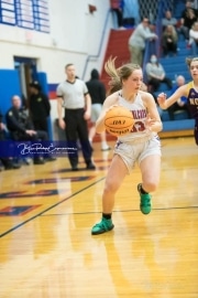 Basketball - North Henderson at West Henderson_BRE_6576