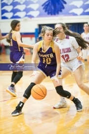 Basketball - North Henderson at West Henderson_BRE_6610