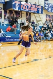 Basketball - North Henderson at West Henderson_BRE_6708