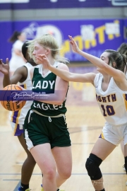 Basketball East Henderson at North Henderson_BRE_8733