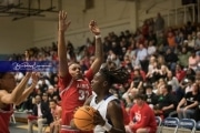 Basketball: Hendersonville at R-S Central BRE_2522