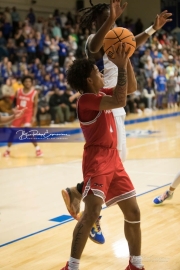 Basketball: Hendersonville at R-S Central BRE_2852