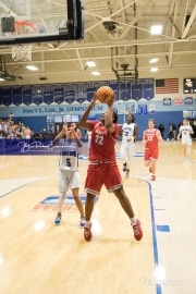 Basketball Hendersonville at R-S Central BRE_5356