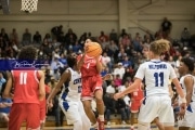 Basketball Hendersonville at R-S Central BRE_5592