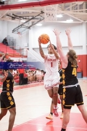Basketball: Lincolnton at Hendersonville BRE_5909
