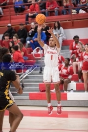 Basketball: Lincolnton at Hendersonville BRE_5955