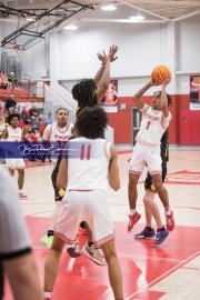 Basketball: Lincolnton at Hendersonville BRE_6062