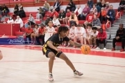 Basketball: Lincolnton at Hendersonville BRE_6085