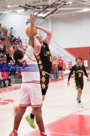 Basketball: Lincolnton at Hendersonville BRE_6128