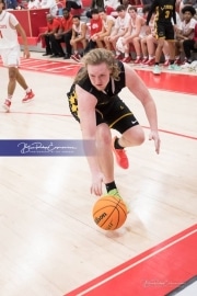 Basketball: Lincolnton at Hendersonville BRE_6141