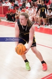 Basketball: Lincolnton at Hendersonville BRE_6142