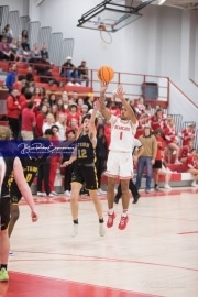 Basketball: Lincolnton at Hendersonville BRE_6242