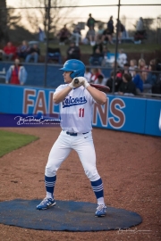 Baseball: Hendersonville at West Henderson_BRE_7135