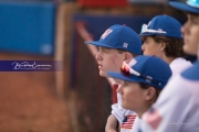 Baseball: Hendersonville at West Henderson_BRE_7172