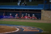 Baseball: Hendersonville at West Henderson_BRE_7399