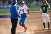 Softball: AC Reynolds at West Henderson