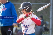 Softball: AC Reynolds at West Henderson
