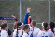 Softball: AC Reynolds at West Henderson