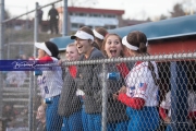 Softball: AC Reynolds at West Henderson