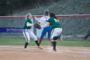 Softball: AC Reynolds at West Henderson
