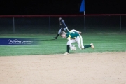 Softball: AC Reynolds at West Henderson