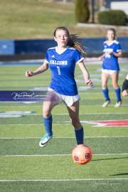 Girls Soccer: Franklin at West Henderson (BRE_4906)