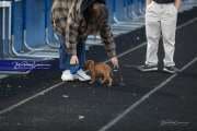Girls Soccer: Patton at Hendersonville (BRE_6318)
