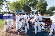 Baseball: West Henderson v Foard Round 2 (BRE_6933)