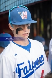 Baseball: West Henderson v Foard Round 2 (BRE_7050)