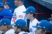 Baseball: West Henderson v Foard Round 2 (BRE_7387)