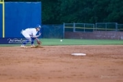 Baseball: West Henderson v Foard Round 2 (BRE_7450)