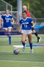Soccer: North Davidson at West Henderson Rd 2 (BRE_1416)
