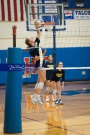 Volleyball Scrimmage (BR3_0147)