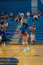 Volleyball Scrimmage (BR3_0184)
